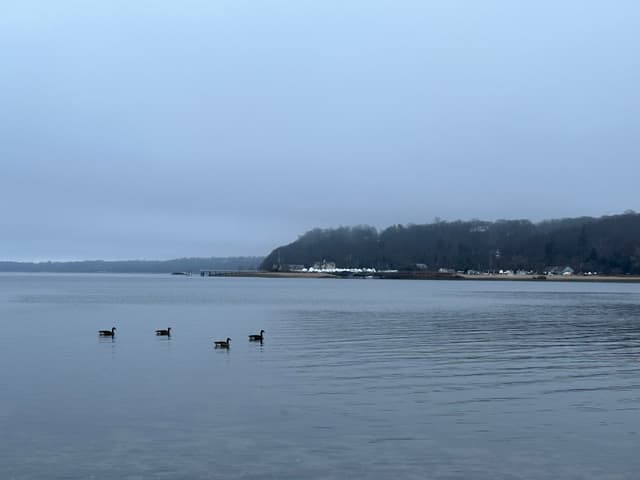 Cold Spring Harbor